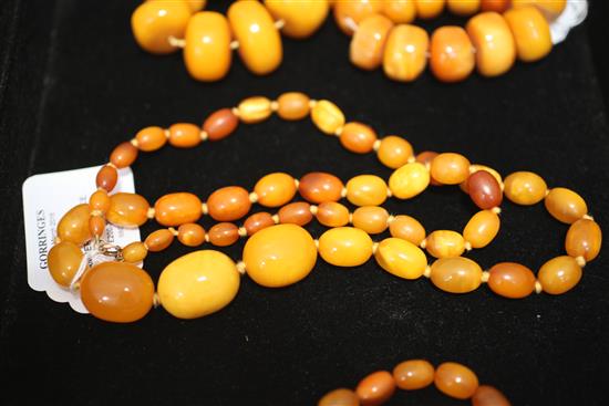 A single strand graduated oval amber bead necklace, 28in.